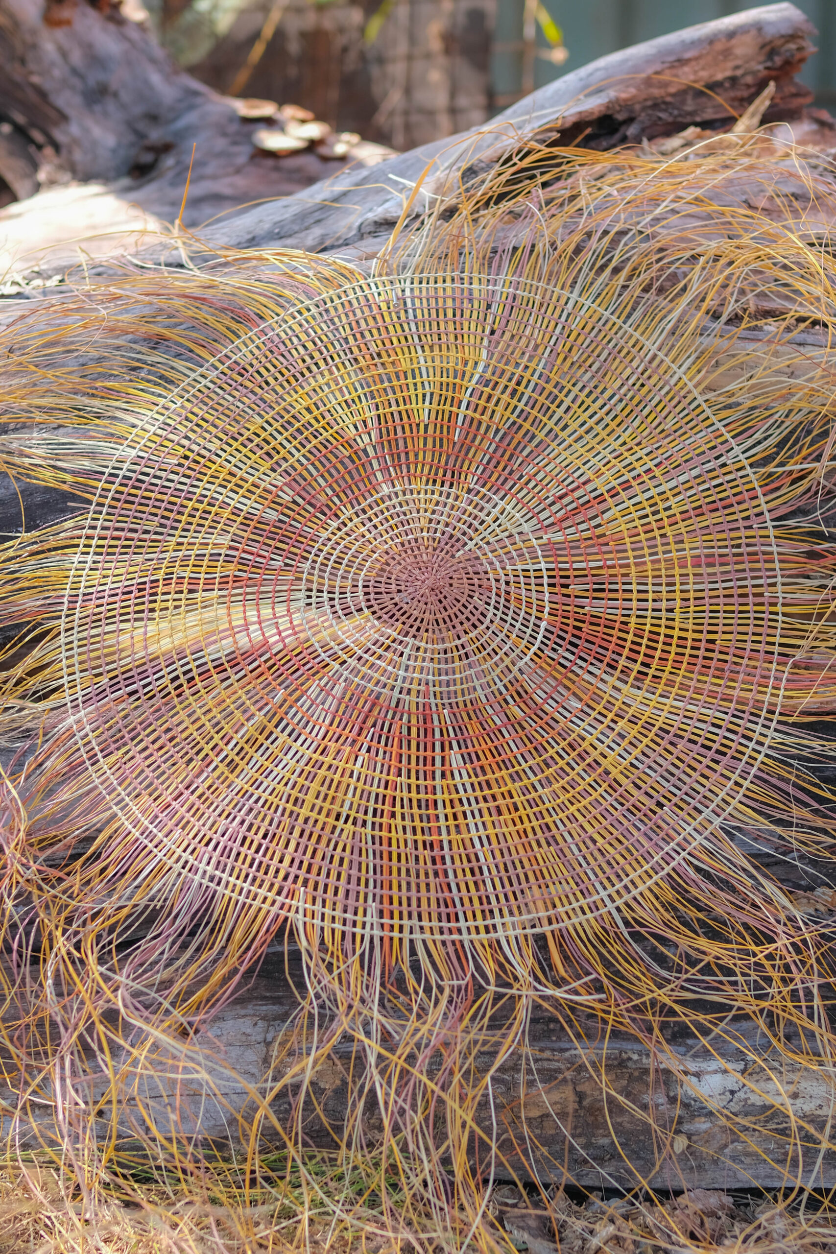Lily Roy<br><I>Gunga mät (Pandanus Mat)</I>