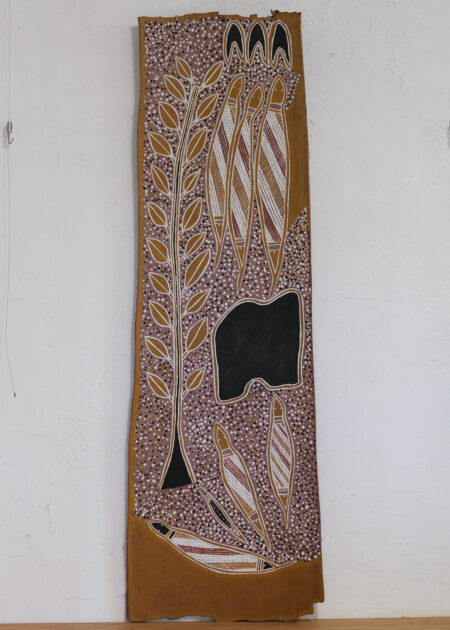 Jason Dhawulunbulun Dhamarandji<br><I>Dhambaṉiny (Death Adder) – Djambarrpuyŋu</I>