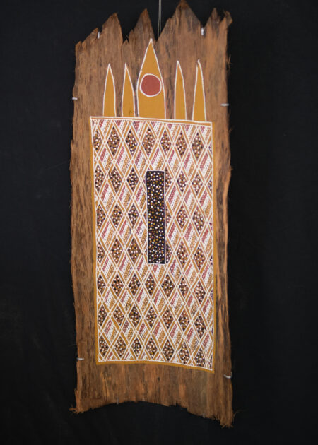 Joe Dhamanydji<br><I>Guku Galanyin (native honey bee hive)</I>