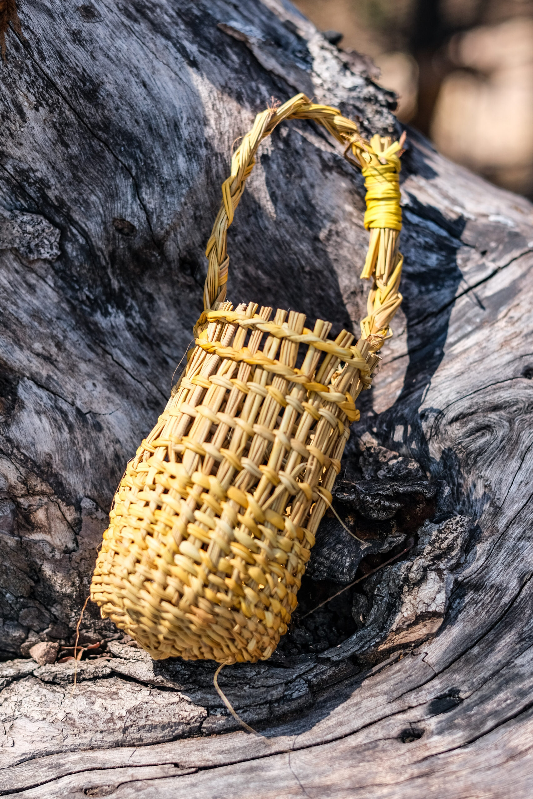 Jennifer Dikarr Malarra Roy <br><I>Gunga bathi (pandanus basket)</I>