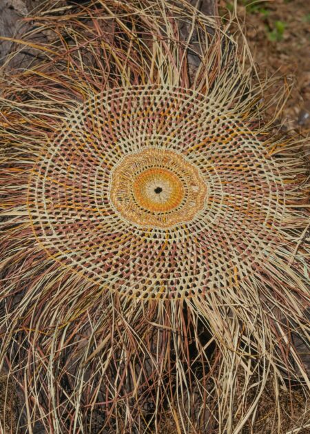 Rubyanne Djindata <br><I>Gunga mät (Pandanus Mat)</I>